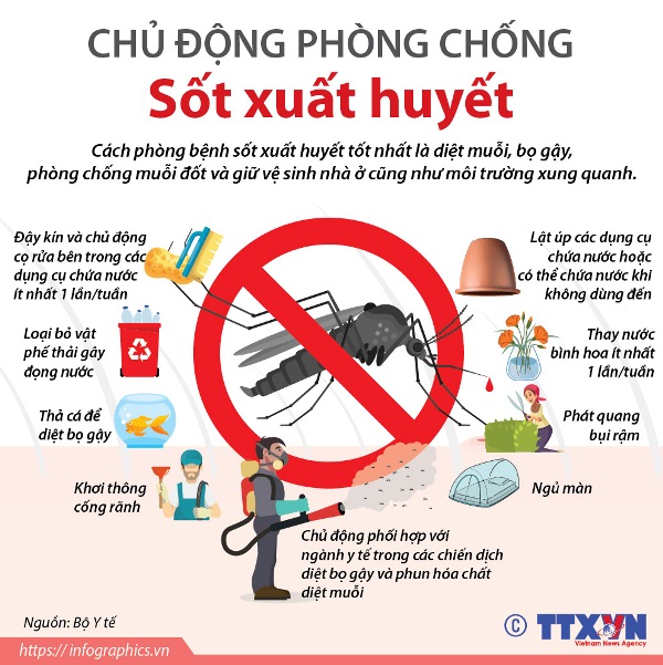 tăng cường công tác phòng và điều trị sốt xuất huyết