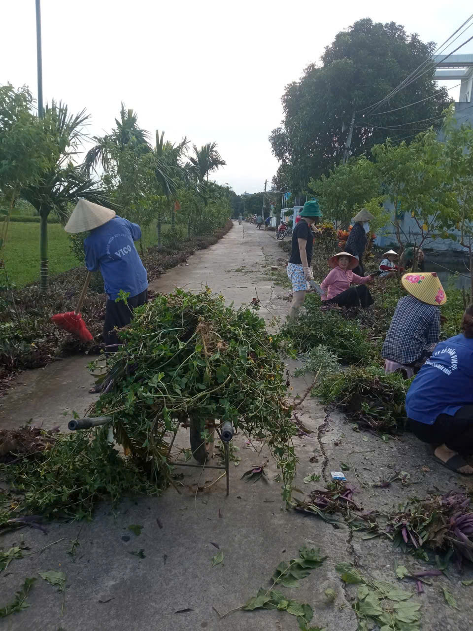 MỘT SỐ HOẠT ĐỘNG CHÀO MỪNG ĐẠI HỘI ĐẠI BIỂU ĐẢNG BỘ PHƯỜNG THÀNH NAM 