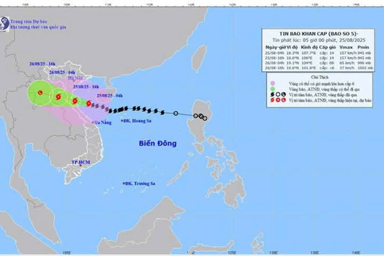 Tin bão khẩn cấp sáng ngày 25.8.2025